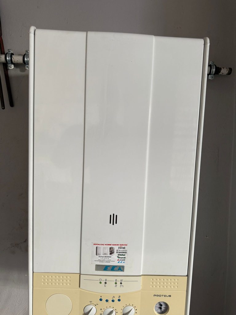 Proteus İkinci El Kombi